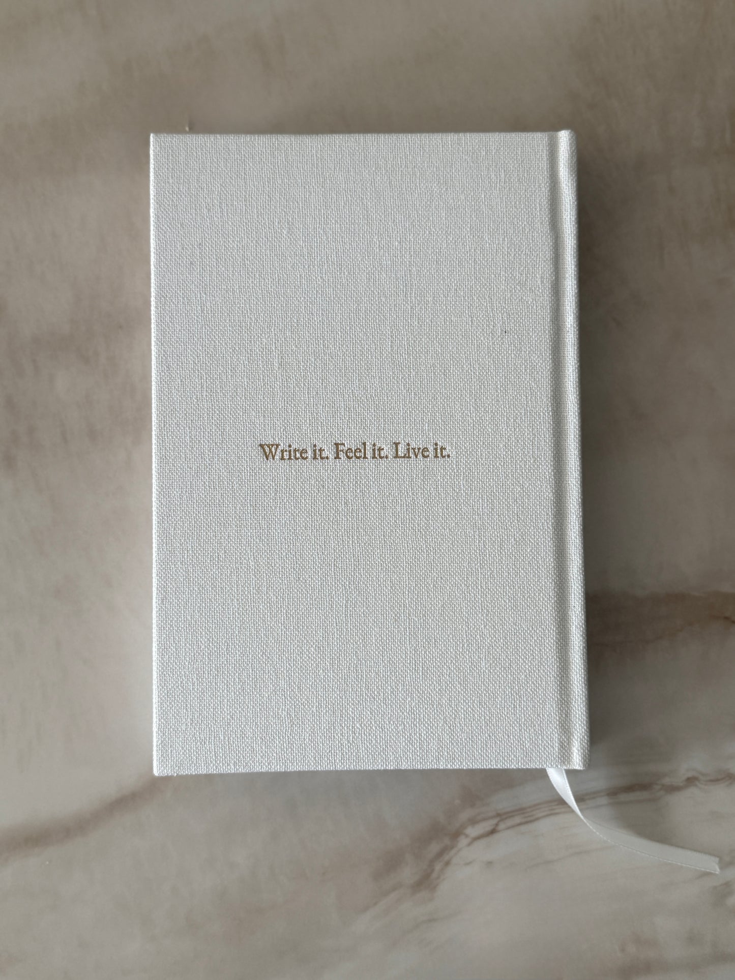 Written Into Reality 100 Day Manifestation Journal